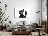 STOCKS_1260ox9QbCp7ojRat_1280x1280.jpg