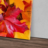 STOCKS_1269qH38gRMkM2CD0_1280x1280.jpg