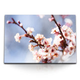 STOCKS_1329EgI8IFLkJwA3n_1280x1280.jpg