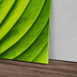 STOCKS_1390AonhjJQNUavmL_1280x1280.jpg