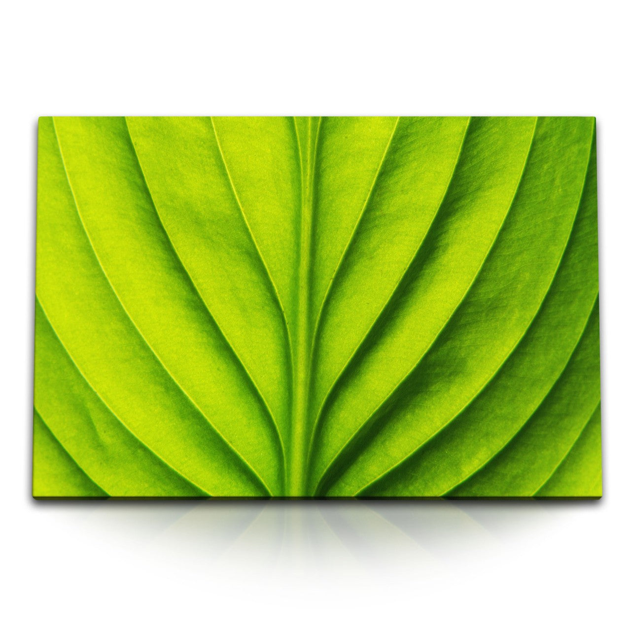 STOCKS_1390sQMptWOgwIwfL_1280x1280.jpg