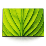 STOCKS_1390sQMptWOgwIwfL_1280x1280.jpg