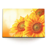 STOCKS_1391wTHQf28DNOupW_1280x1280.jpg