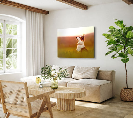 STOCKS_14171zFsCGchMTY2b_1280x1280.jpg