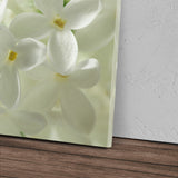 STOCKS_1458nId8zyPadanpM_1280x1280.jpg