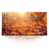 STOCKS_1459_1280x1280.jpg