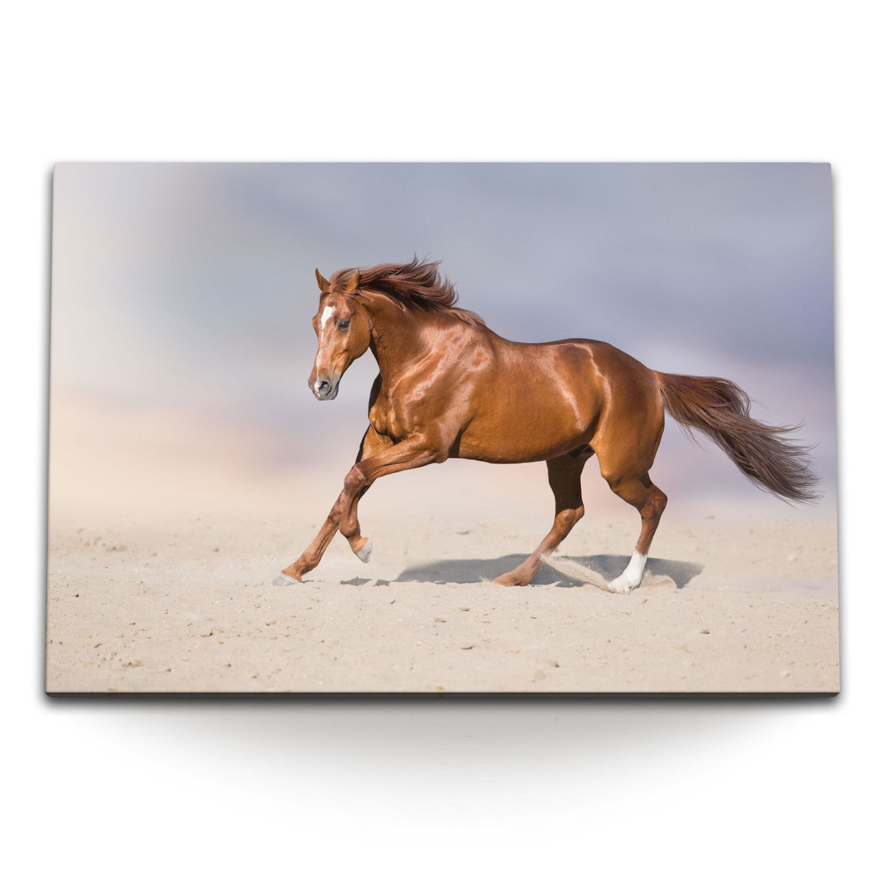 STOCKS_1462Nl8xCuymERNmj_1280x1280.jpg