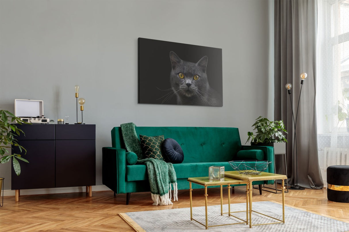 STOCKS_1486gcJ4PL6buJFN7_1280x1280.jpg