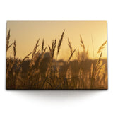 STOCKS_1494LfE6Ik56aomed_1280x1280.jpg