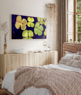 STOCKS_1513pTT5z9ULMpPp6_1280x1280.jpg