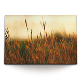 STOCKS_15268JOgwJ11TUM6A_1280x1280.jpg