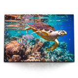 STOCKS_1553vLweUb2Q53Zpw_1280x1280.jpg
