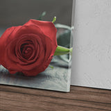 STOCKS_1561jEMbBfS9i684z_1280x1280.jpg