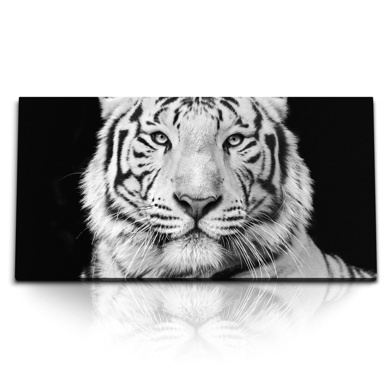 STOCKS_1574_1280x1280.jpg