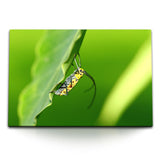 STOCKS_1627igKkjv6s2gbQp_1280x1280.jpg
