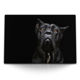 STOCKS_1675GBf5hOYT7lyMH_1280x1280.jpg