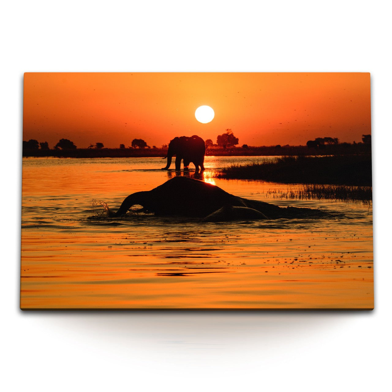 STOCKS_1739Nmnpy71BN6qTs_1280x1280.jpg