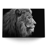 STOCKS_1789lnGFC1r8alSAm_1280x1280.jpg
