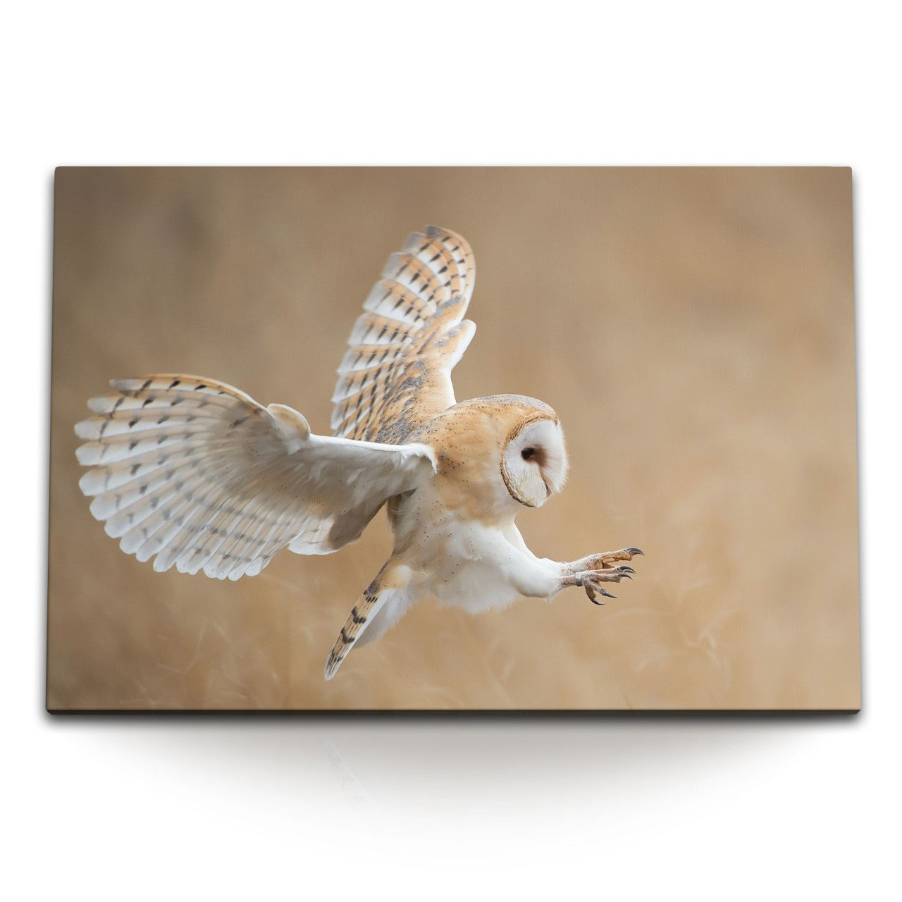 STOCKS_1795IZzlmNmps694u_1280x1280.jpg