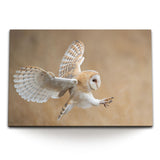 STOCKS_1795IZzlmNmps694u_1280x1280.jpg