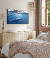 STOCKS_1861wjIZNWRmk1jhL_1280x1280.jpg