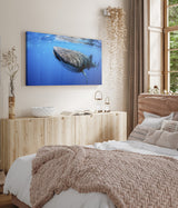 STOCKS_1891GGvcbRI5cubyE_1280x1280.jpg