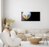 STOCKS_1969cru23yteC68ye_1280x1280.jpg