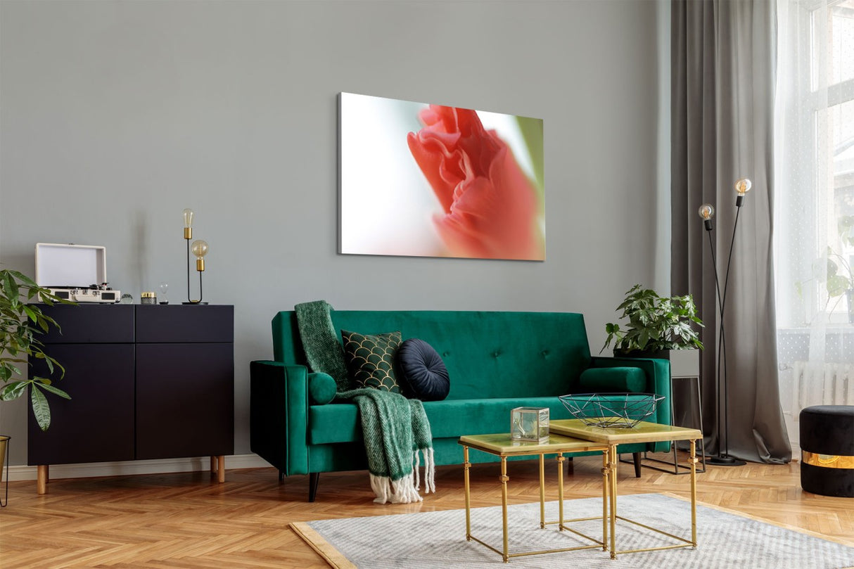 STOCKS_19878aLARV85pF1UV_1280x1280.jpg