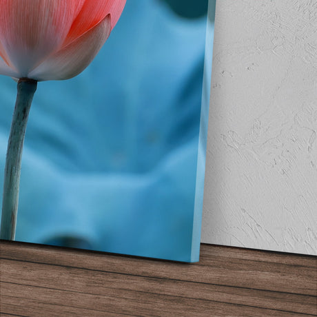 STOCKS_1991w0A31WOPqe0LL_1280x1280.jpg