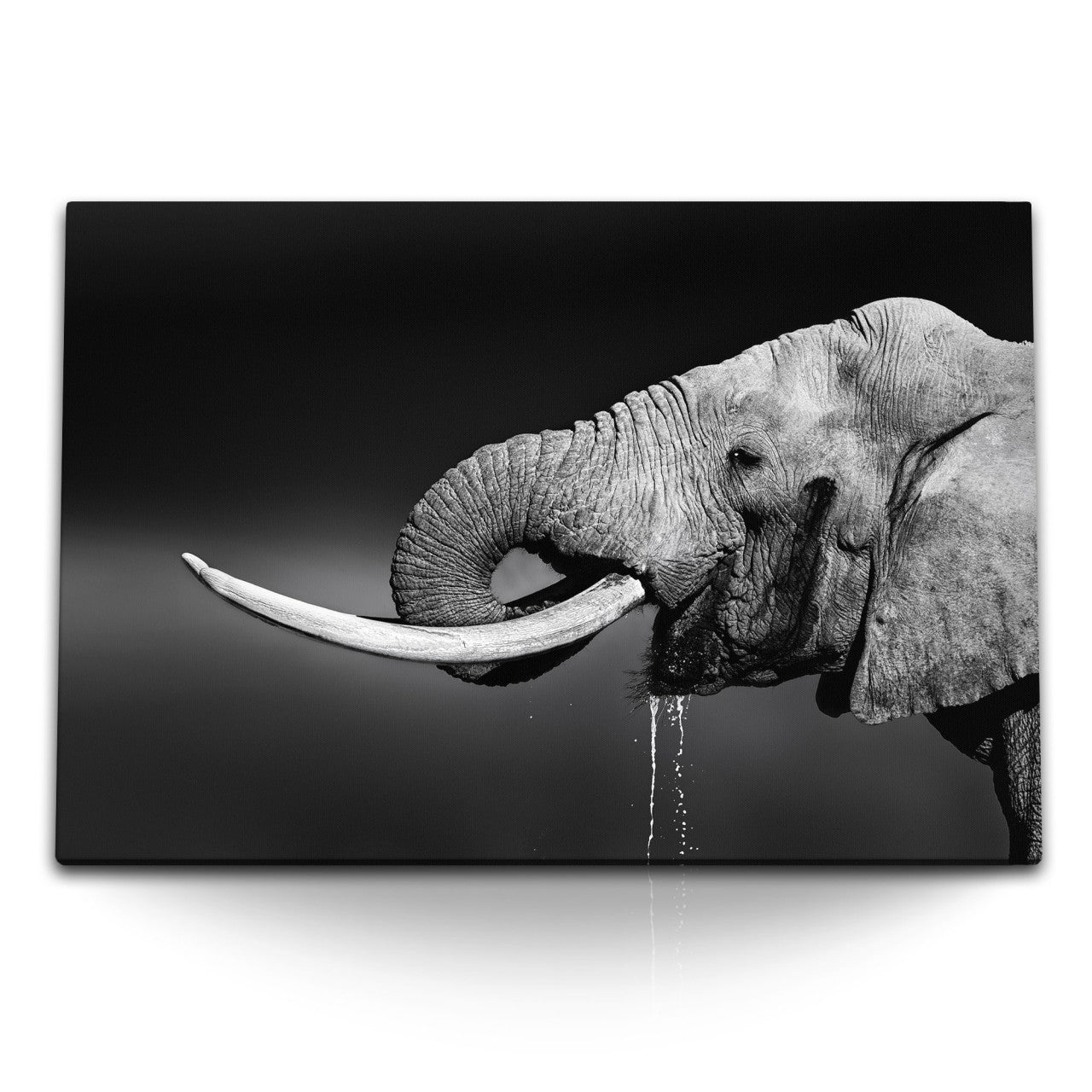 STOCKS_1996ixQ8tFMExlt6E_1280x1280.jpg
