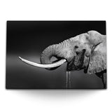 STOCKS_1996ixQ8tFMExlt6E_1280x1280.jpg