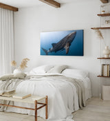 STOCKS_2026QCroT6hja7uPh_1280x1280.jpg