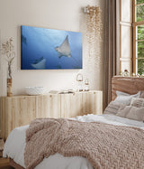 STOCKS_2082wZjakU3dZyyEg_1280x1280.jpg