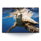 STOCKS_21297sD06r7ObbI2U_1280x1280.jpg