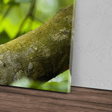 STOCKS_21377ql5GIWe3ZexT_1280x1280.jpg