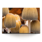 STOCKS_2165lSOPtckI1sMu1_1280x1280.jpg