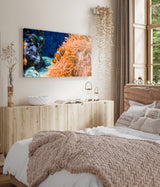 STOCKS_2206yhub7TLb51zkO_1280x1280.jpg