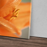 STOCKS_2210Chhbceghf5ApL_1280x1280.jpg
