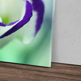 STOCKS_2244mt1K5GFEulu3D_1280x1280.jpg