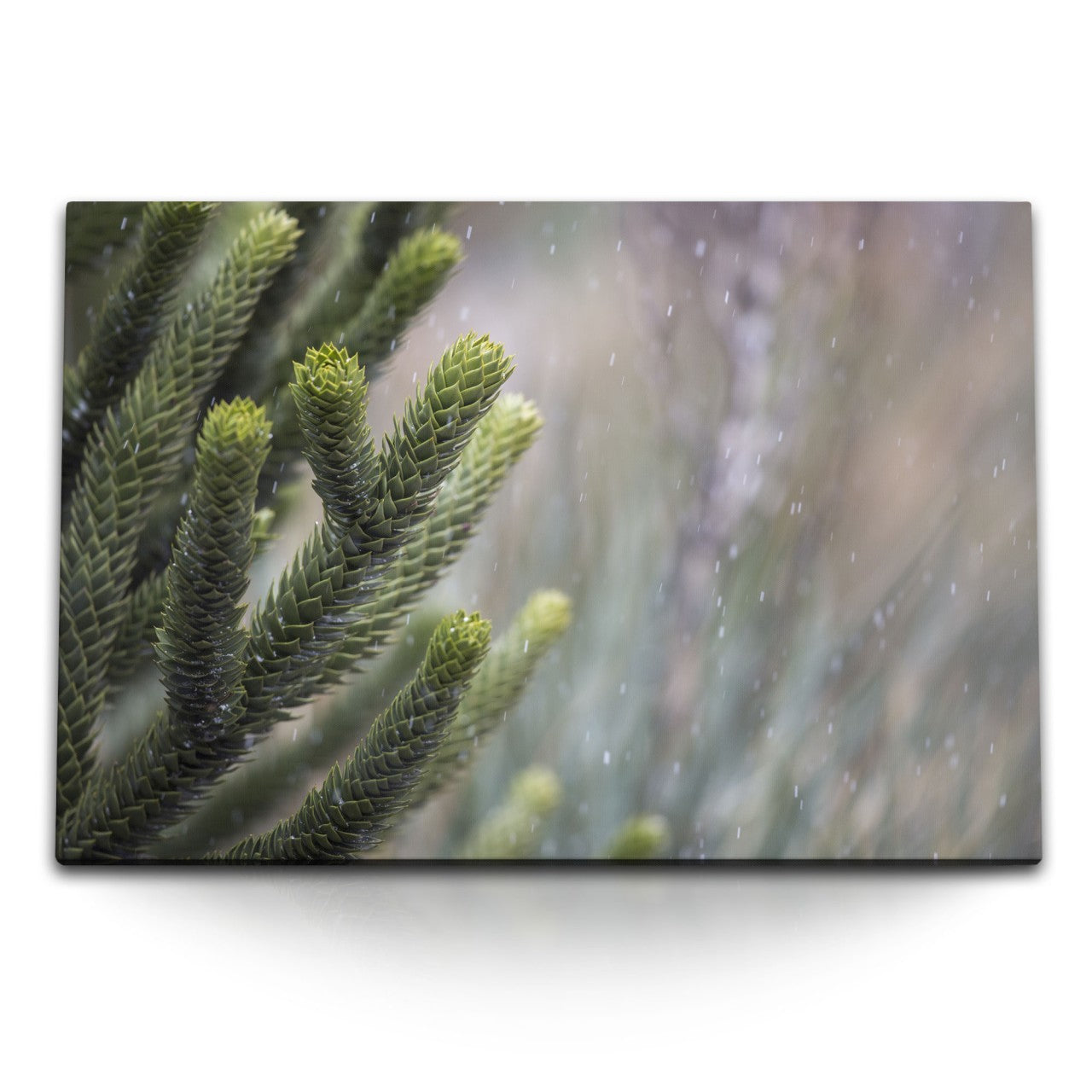 STOCKS_2266HZP5WgZGeLZRB_1280x1280.jpg