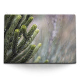 STOCKS_2266HZP5WgZGeLZRB_1280x1280.jpg