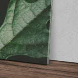 STOCKS_2310dFrOaQcKaA1RG_1280x1280.jpg