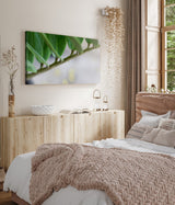 STOCKS_2320ekNC4Gs8XMdzX_1280x1280.jpg