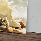 STOCKS_2395RoIPu2JwcbxBz_1280x1280.jpg
