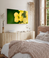 STOCKS_2402Kc5HCrz8OxXna_1280x1280.jpg