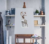 Tiere_0251VUbDbjfWDgwb_1280x1280.jpg