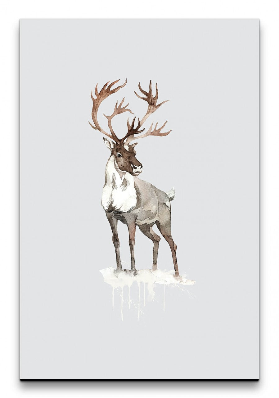Tiere_025_1280x1280.jpg