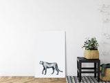 Tiere_032nfVmwOJtUEofx_1280x1280.jpg