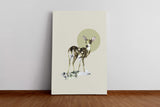 Tiere_048e3JY5TtkZZ5oW_1280x1280.jpg
