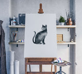 Tiere_054BII9G82zDQOyo_1280x1280.jpg